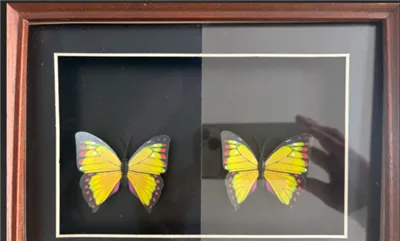 Китайський елітер Glass Anti - світловідбиваюче скло